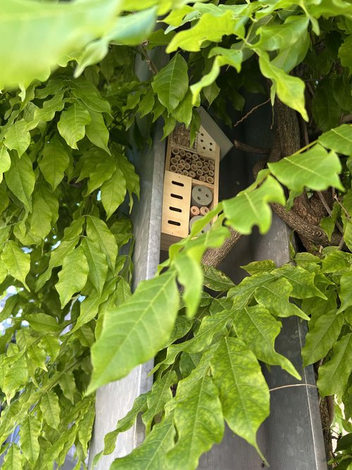 Bienenhotel am Medienhaus